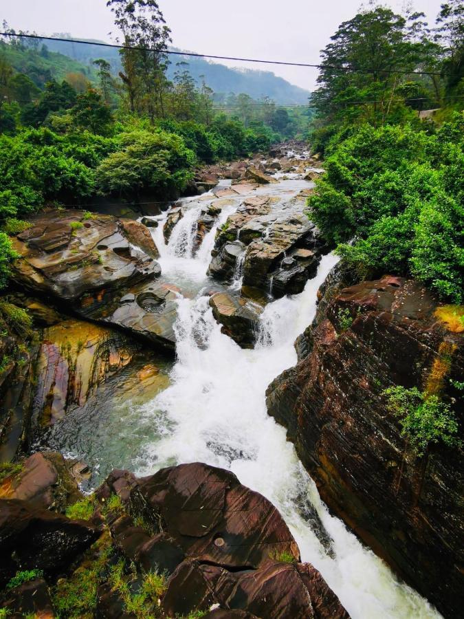 Butterfly Mountain Lake Side Maskeliya Luaran gambar
