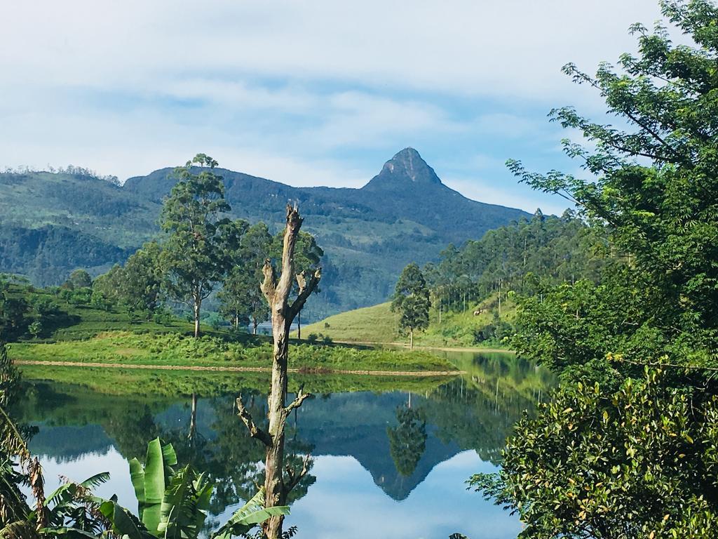 Butterfly Mountain Lake Side Maskeliya Luaran gambar