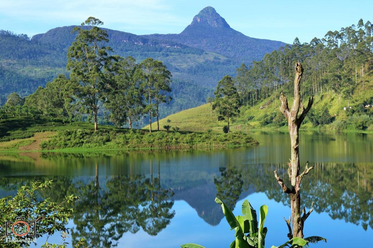 Butterfly Mountain Lake Side Maskeliya Luaran gambar